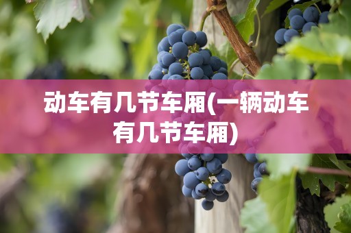 动车有几节车厢(一辆动车有几节车厢)