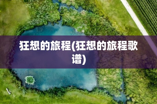 狂想的旅程(狂想的旅程歌谱)