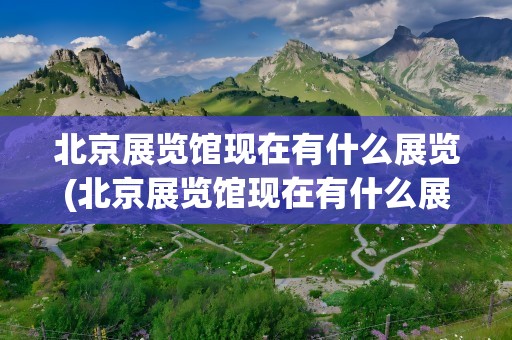 北京展览馆现在有什么展览(北京展览馆现在有什么展览开放吗)