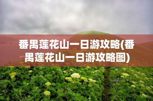 番禺莲花山一日游攻略(番禺莲花山一日游攻略图)