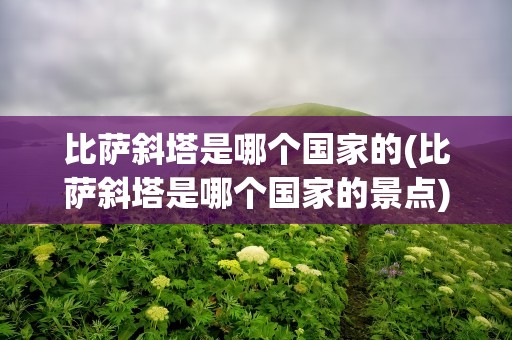 比萨斜塔是哪个国家的(比萨斜塔是哪个国家的景点)