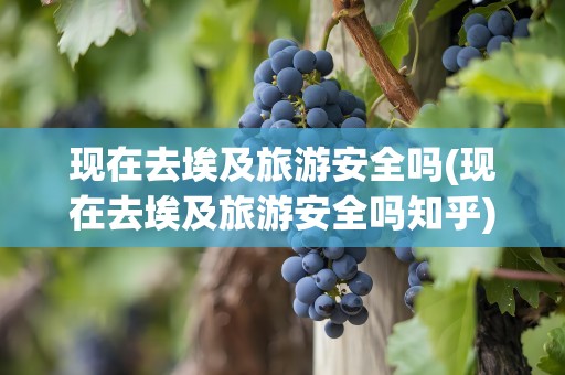 现在去埃及旅游安全吗(现在去埃及旅游安全吗知乎)