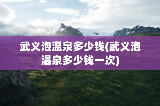 武义泡温泉多少钱(武义泡温泉多少钱一次)