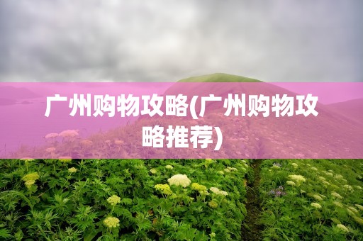 广州购物攻略(广州购物攻略推荐)