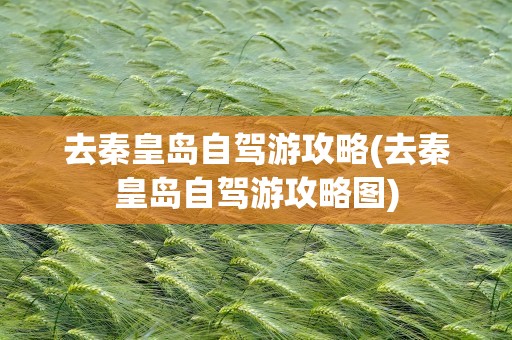 去秦皇岛自驾游攻略(去秦皇岛自驾游攻略图)
