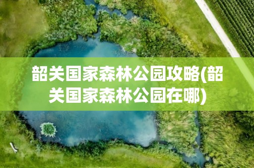 韶关国家森林公园攻略(韶关国家森林公园在哪)