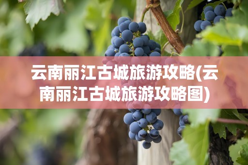 云南丽江古城旅游攻略(云南丽江古城旅游攻略图)
