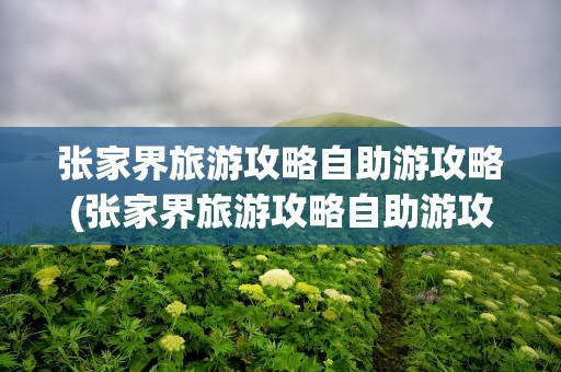 张家界旅游攻略自助游攻略(张家界旅游攻略自助游攻略图)