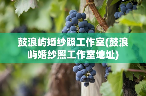 鼓浪屿婚纱照工作室(鼓浪屿婚纱照工作室地址)