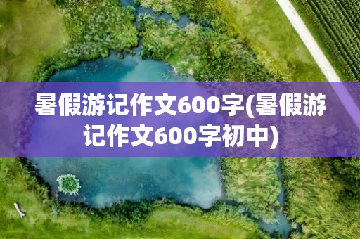 暑假游记作文600字(暑假游记作文600字初中)