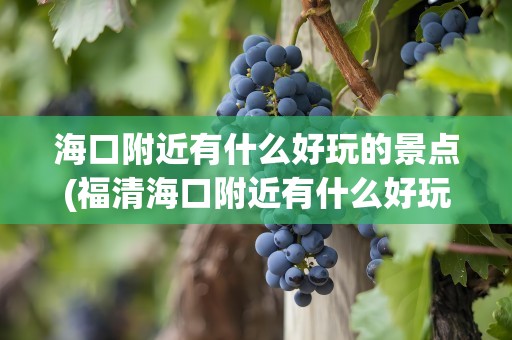海口附近有什么好玩的景点(福清海口附近有什么好玩的景点)
