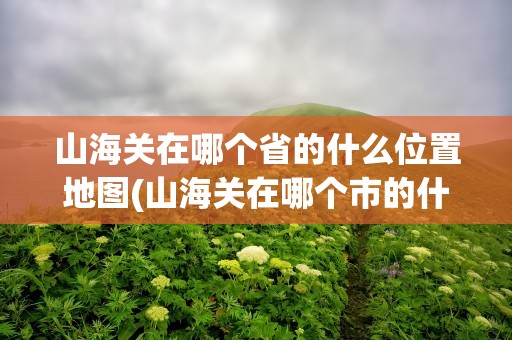 山海关在哪个省的什么位置地图(山海关在哪个市的什么位置)