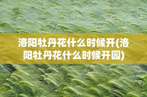 洛阳牡丹花什么时候开(洛阳牡丹花什么时候开园)
