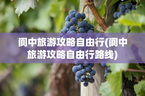 阆中旅游攻略自由行(阆中旅游攻略自由行路线)