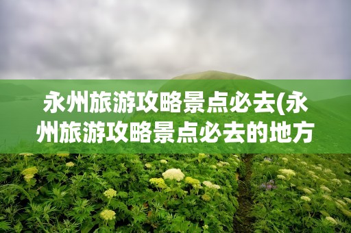 永州旅游攻略景点必去(永州旅游攻略景点必去的地方)