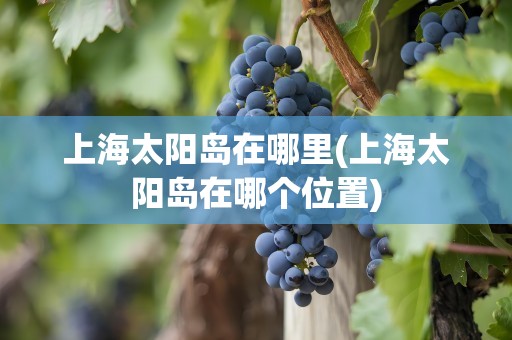 上海太阳岛在哪里(上海太阳岛在哪个位置)