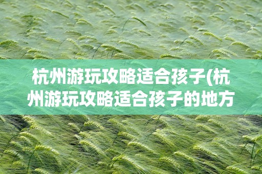 杭州游玩攻略适合孩子(杭州游玩攻略适合孩子的地方)