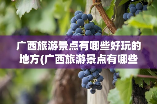 广西旅游景点有哪些好玩的地方(广西旅游景点有哪些好玩的地方推荐)