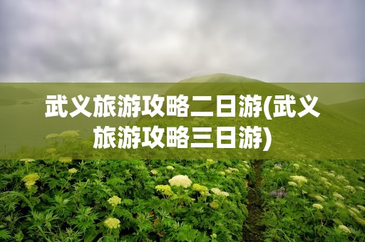 武义旅游攻略二日游(武义旅游攻略三日游)
