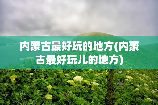 内蒙古最好玩的地方(内蒙古最好玩儿的地方)