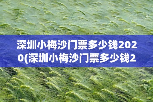深圳小梅沙门票多少钱2020(深圳小梅沙门票多少钱2023)