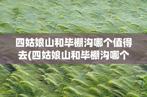 四姑娘山和毕棚沟哪个值得去(四姑娘山和毕棚沟哪个值得去玩)