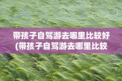 带孩子自驾游去哪里比较好(带孩子自驾游去哪里比较好玩)