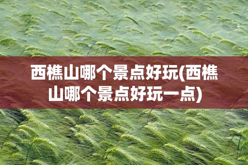 西樵山哪个景点好玩(西樵山哪个景点好玩一点)