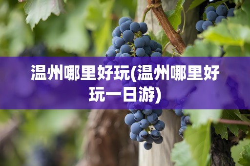温州哪里好玩(温州哪里好玩一日游)