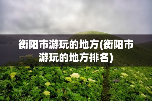 衡阳市游玩的地方(衡阳市游玩的地方排名)