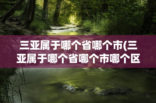 三亚属于哪个省哪个市(三亚属于哪个省哪个市哪个区)