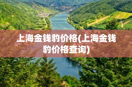 上海金钱豹价格(上海金钱豹价格查询)