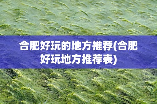 合肥好玩的地方推荐(合肥好玩地方推荐表)