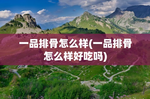 一品排骨怎么样(一品排骨怎么样好吃吗)