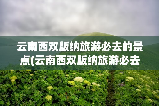 云南西双版纳旅游必去的景点(云南西双版纳旅游必去的景点推荐)