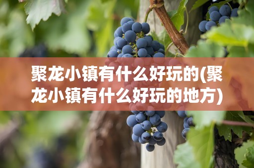 聚龙小镇有什么好玩的(聚龙小镇有什么好玩的地方)