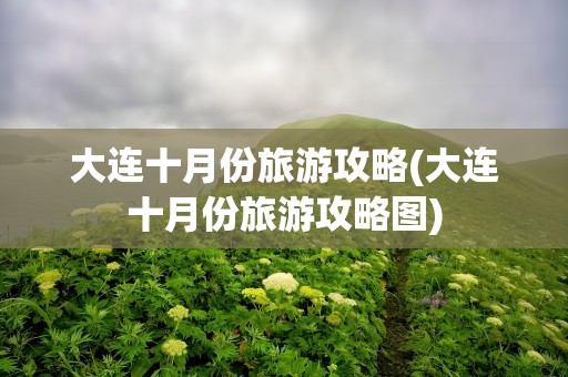大连十月份旅游攻略(大连十月份旅游攻略图)