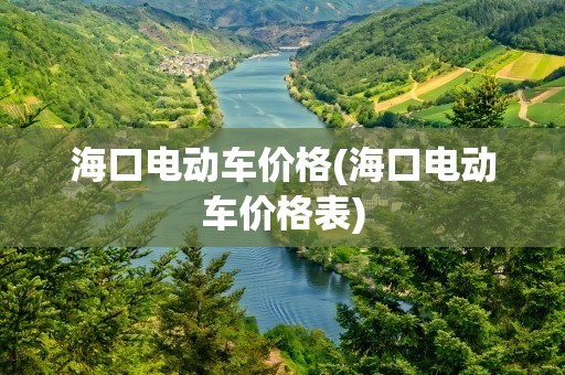海口电动车价格(海口电动车价格表)