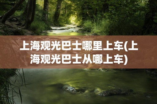 上海观光巴士哪里上车(上海观光巴士从哪上车)