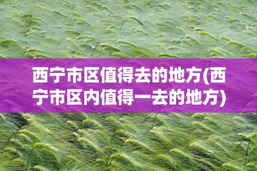 西宁市区值得去的地方(西宁市区内值得一去的地方)
