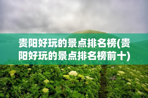 贵阳好玩的景点排名榜(贵阳好玩的景点排名榜前十)
