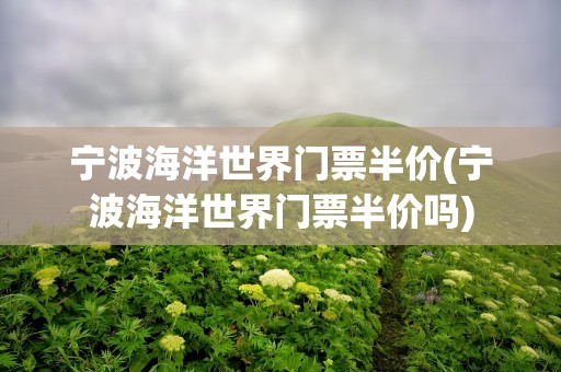 宁波海洋世界门票半价(宁波海洋世界门票半价吗)