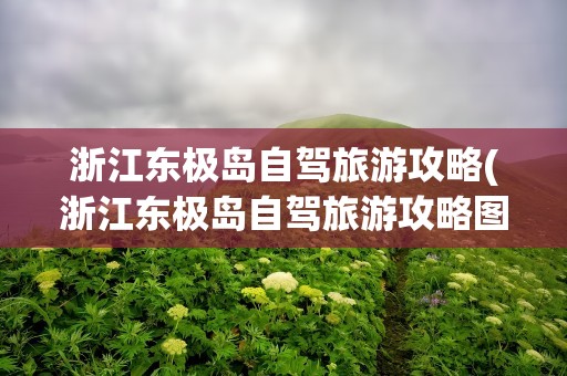 浙江东极岛自驾旅游攻略(浙江东极岛自驾旅游攻略图)