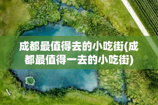 成都最值得去的小吃街(成都最值得一去的小吃街)