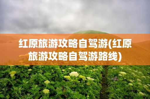 红原旅游攻略自驾游(红原旅游攻略自驾游路线)
