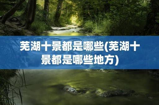芜湖十景都是哪些(芜湖十景都是哪些地方)