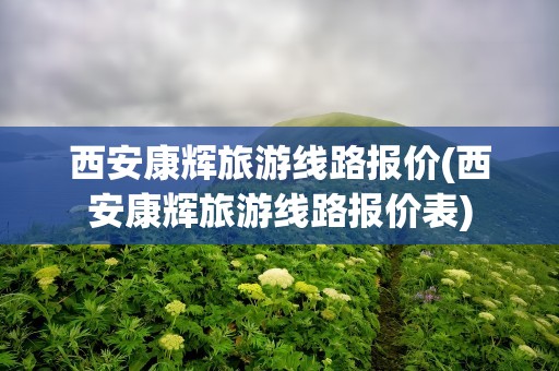 西安康辉旅游线路报价(西安康辉旅游线路报价表)