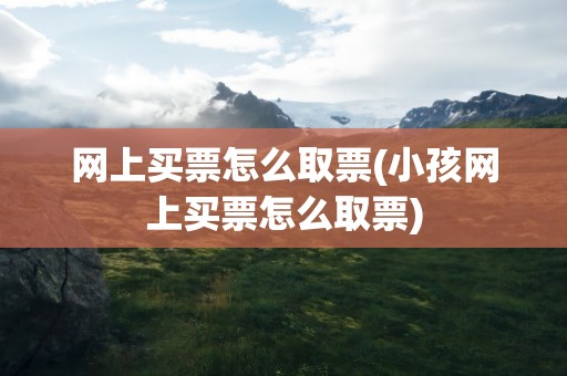 网上买票怎么取票(小孩网上买票怎么取票)