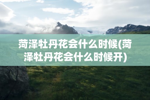菏泽牡丹花会什么时候(菏泽牡丹花会什么时候开)