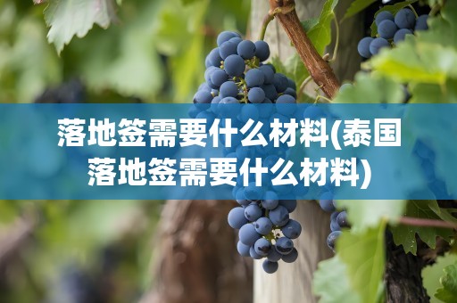 落地签需要什么材料(泰国落地签需要什么材料)